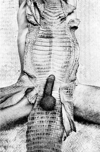 [a10n1cul-1.jpg]