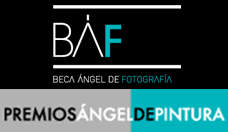 [Premios-Angel-Pintura-236.jpg]