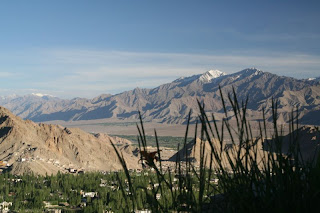 Ladakh Activity