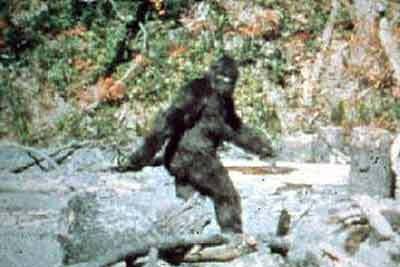 [Bigfoot.jpg]
