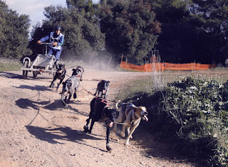 Ismael Piñol en una de sus carreras