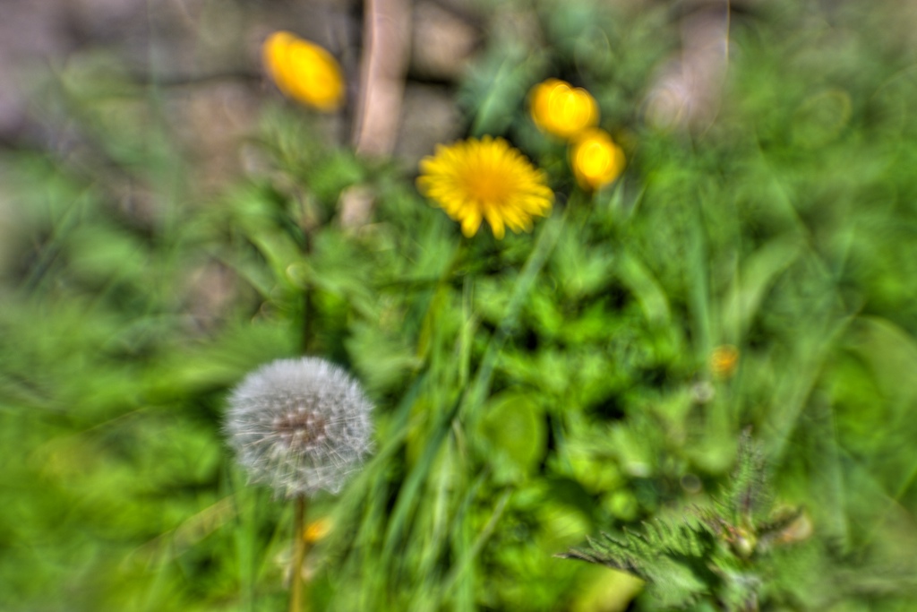 [IMG_4399.jpg]