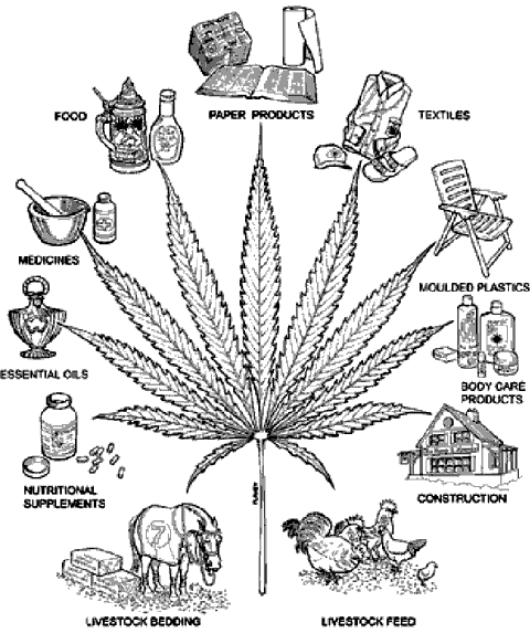 Marijuana Uses