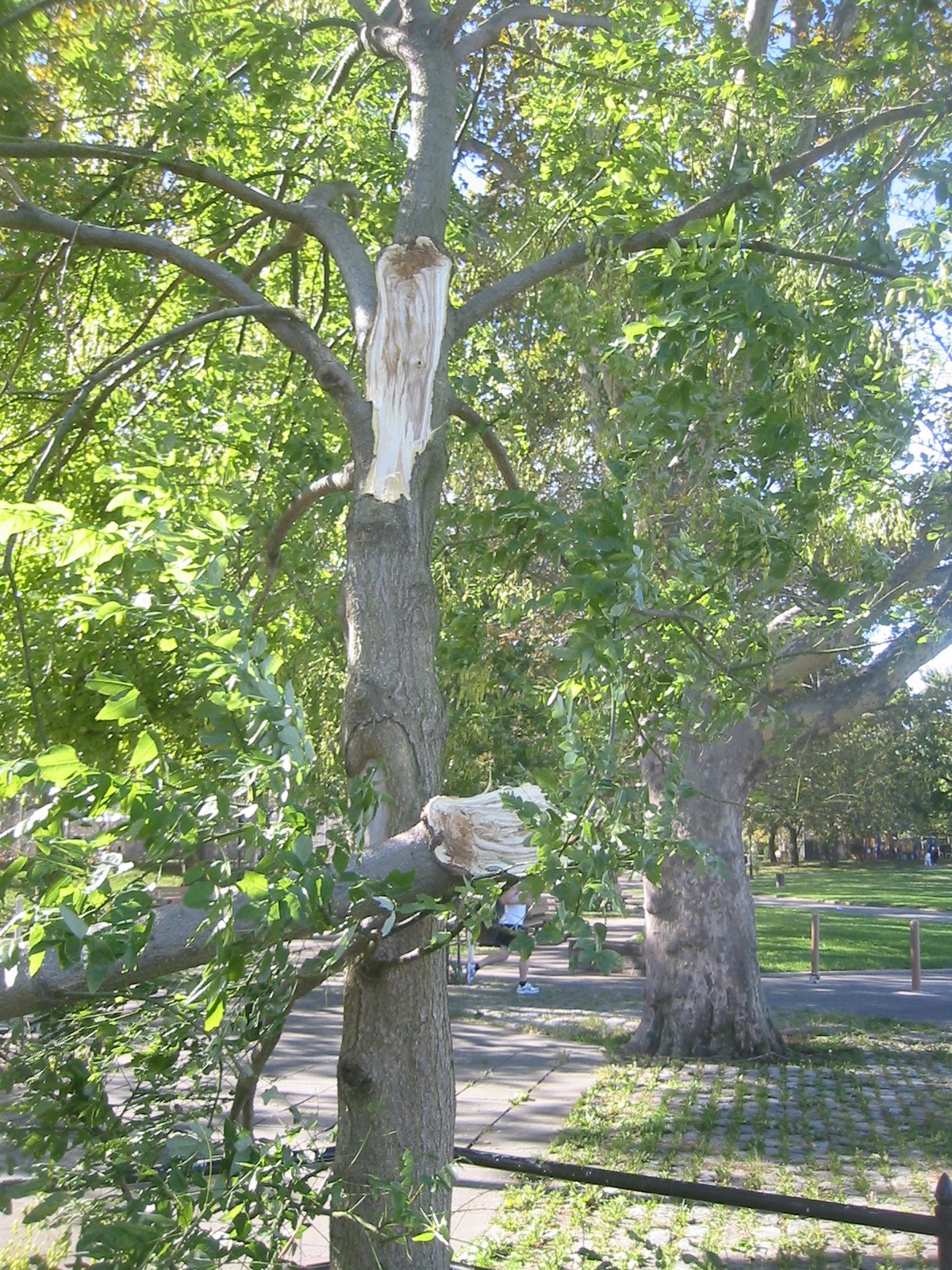 [IMG_5816.JPG]