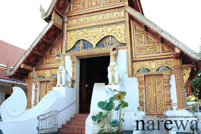 prasingha chiangrai