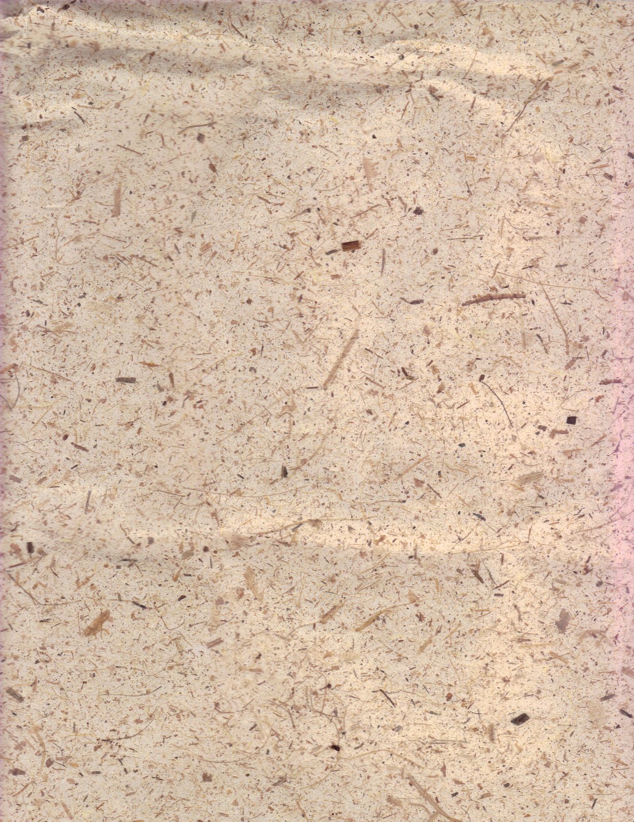 http://4.bp.blogspot.com/_aEdrQS9lP24/S8zBhQvkc7I/AAAAAAAAADU/X7IcR_ZuUhc/s1600/banana+paper+scan.jpg