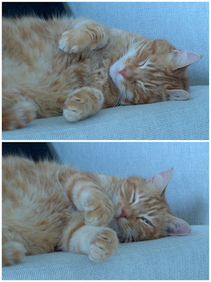 Cosy Sleep