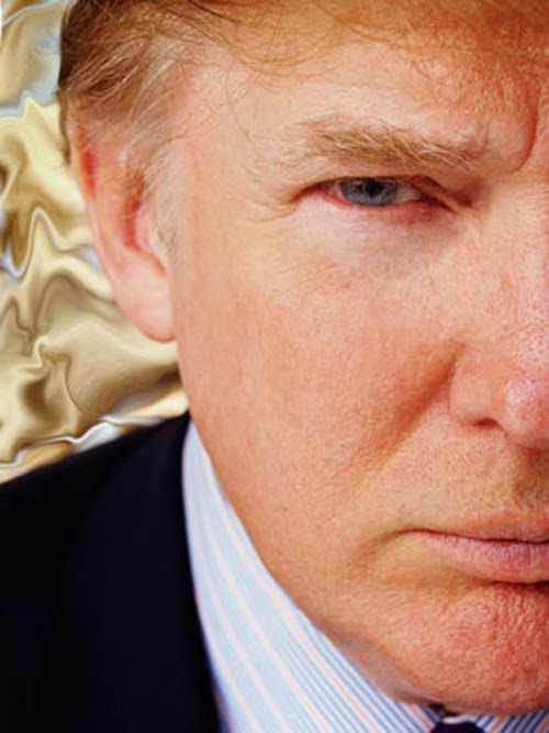 donald trump hair blowing. donald trump hair blowing in wind. donald trump hair blowing.