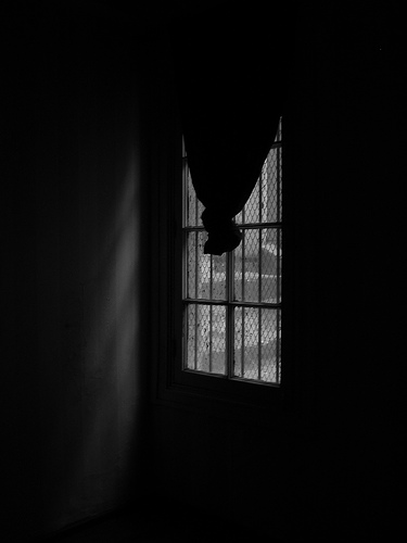 el cuarto oscuro contrapunto gh el cuarto oscuro el cuarto oscuro contrapunto gh el cuarto oscuro