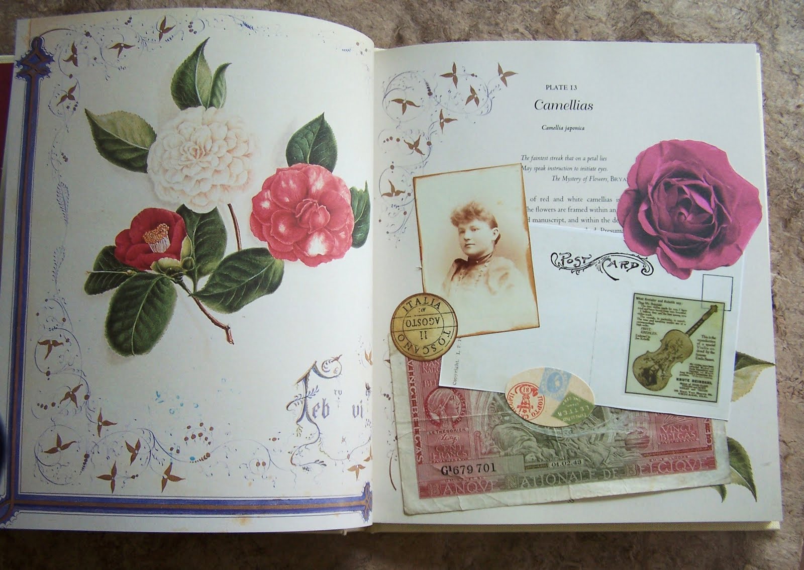 Kard Krazy Glue Book Part 2