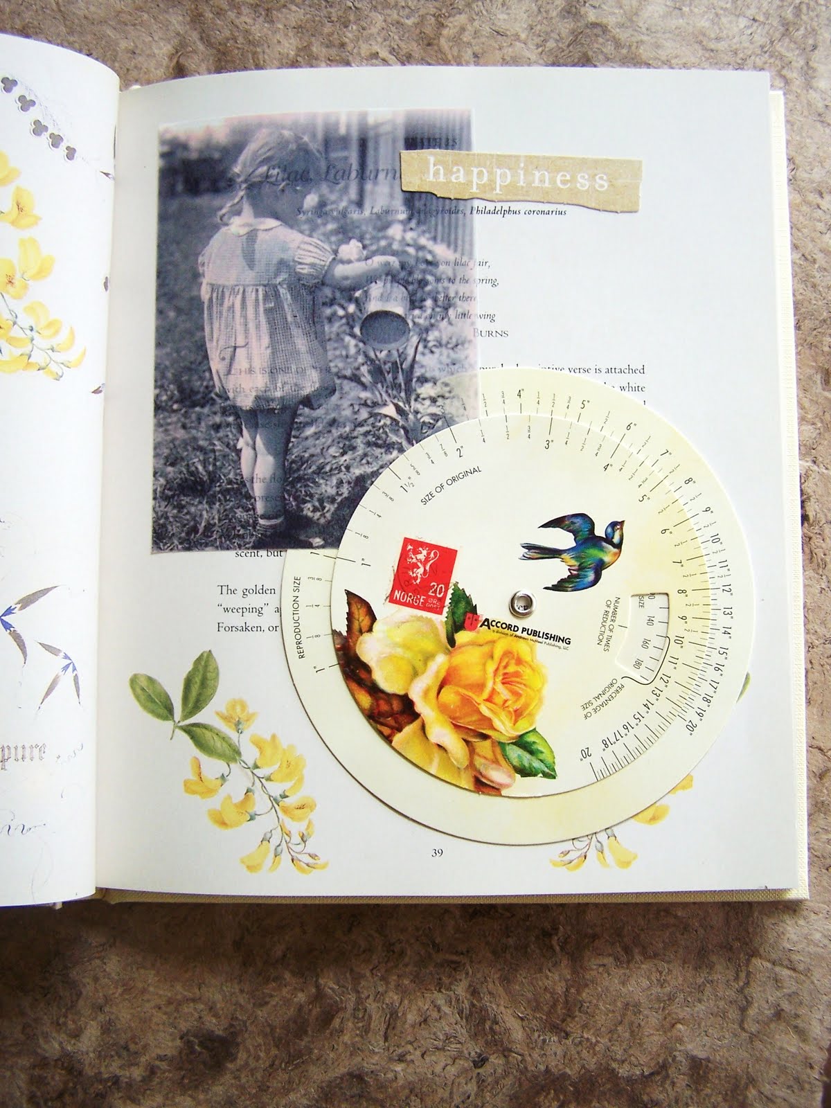 Kard Krazy Glue Book Part 2