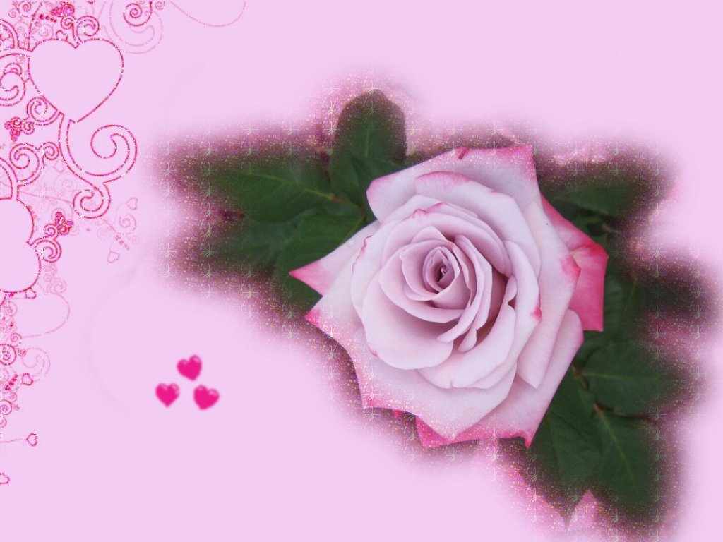 pink roses for valentines day pink valentines day ecards 2017 card pink roses for valentines day pink valentines day ecards 2017 card