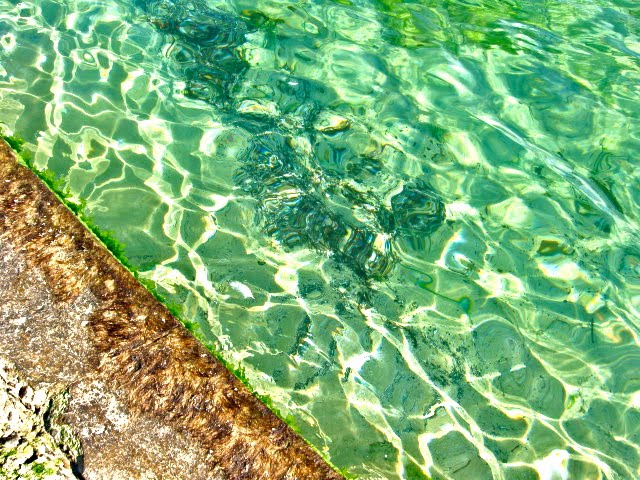 [IMG_1220.JPG]
