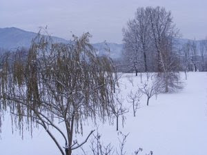 neve 2009