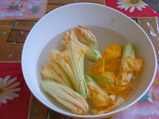 fiori di zucca