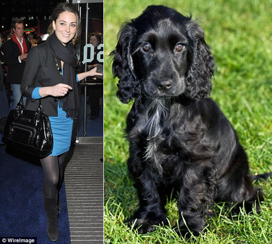 kate middleton ugly. on kate middleton ugly. kate middleton ugly. on
