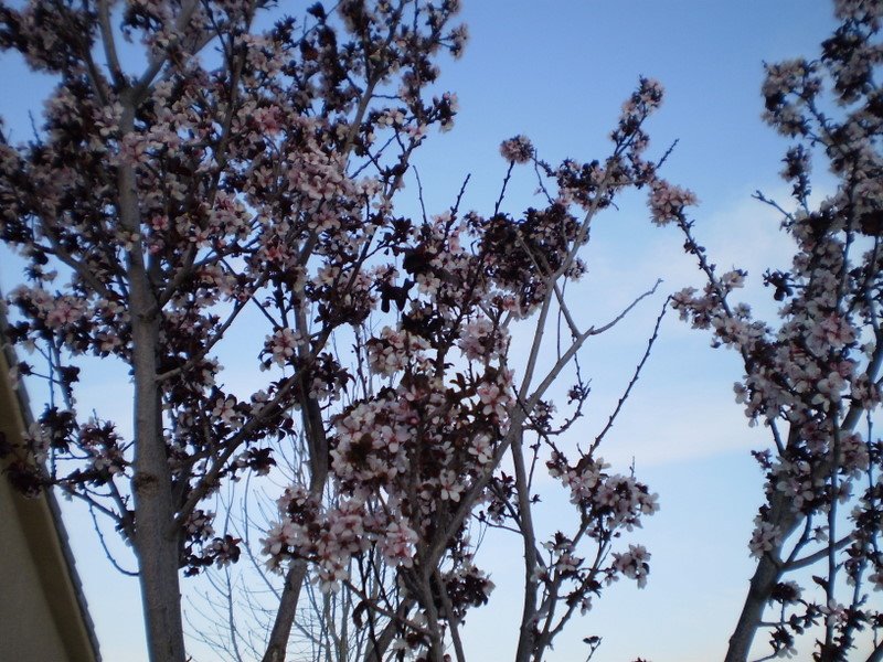 [P3120194.JPG]
