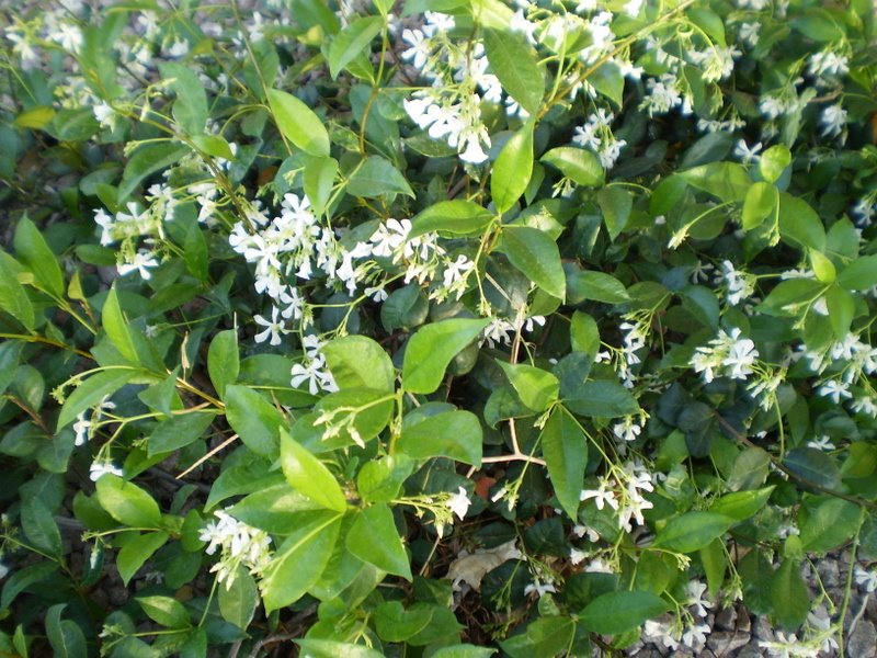 [P5050413.JPG]