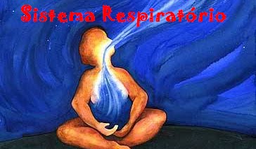 Sistema Respiratório \õ/