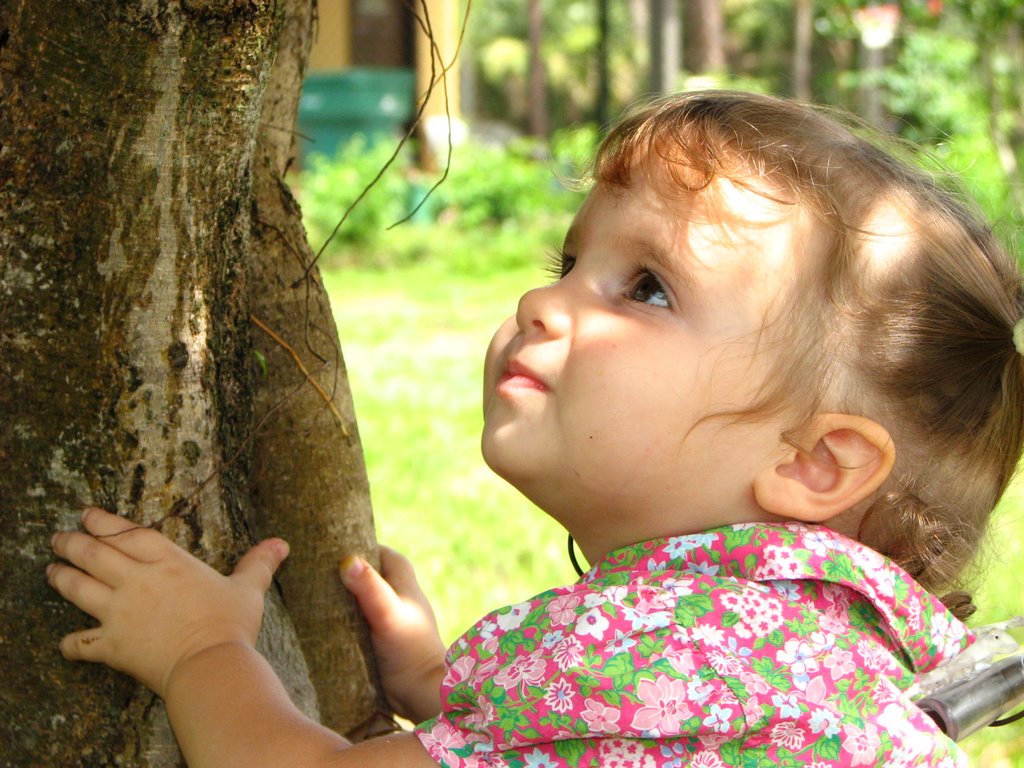[Ocoee+by+tree+Lookin+Up.JPG]
