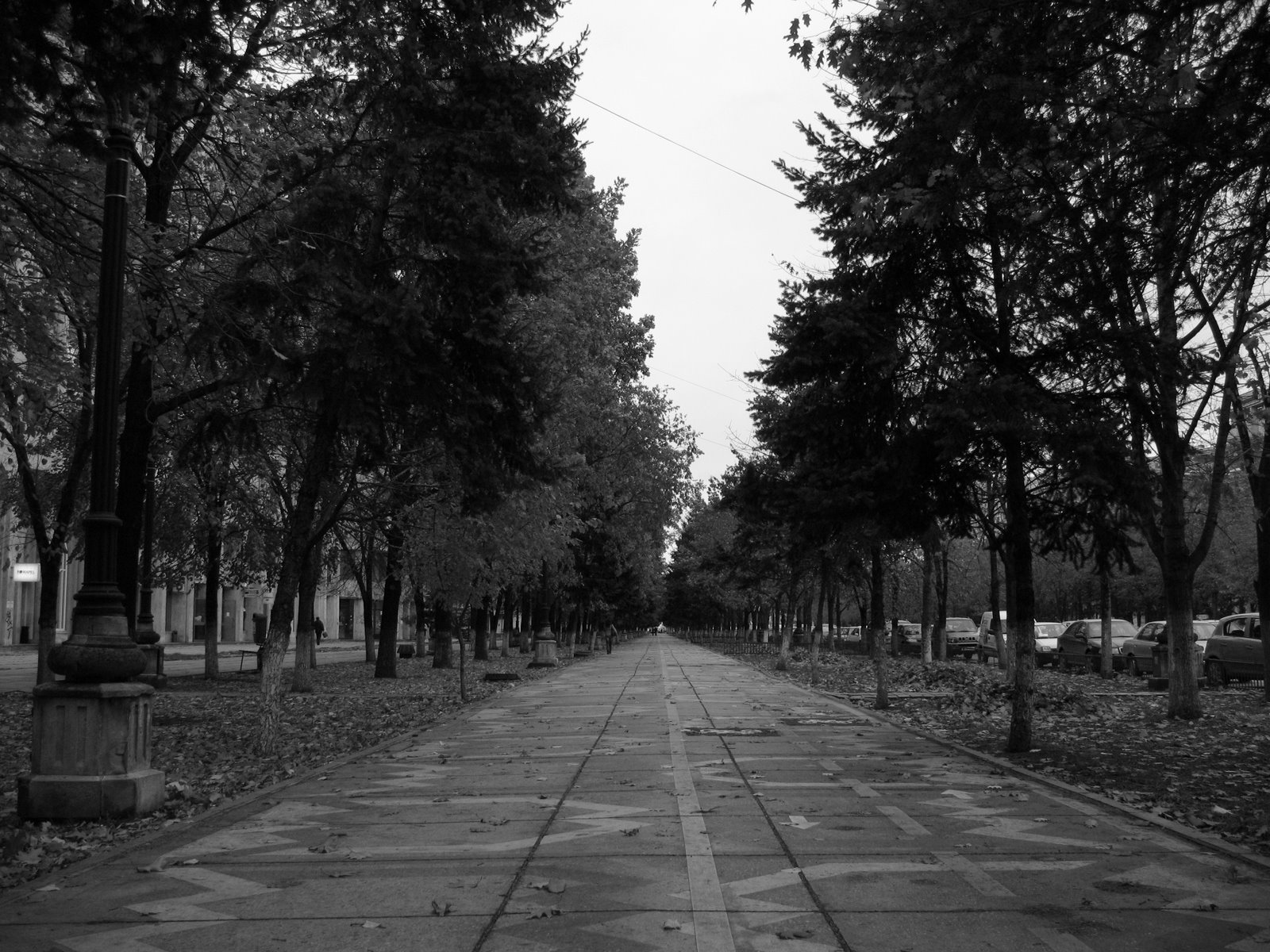 [IMG_1988.jpg]