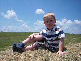 Hay Bales = New Toy