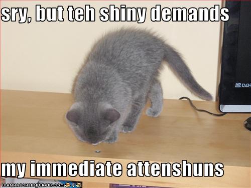 [funny-pictures-cat-pays-attention-to-shiny-thing.jpg]