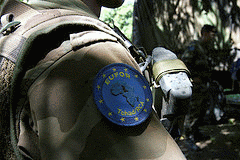 Eufor - hdptcar.net Eufor - hdptcar.net