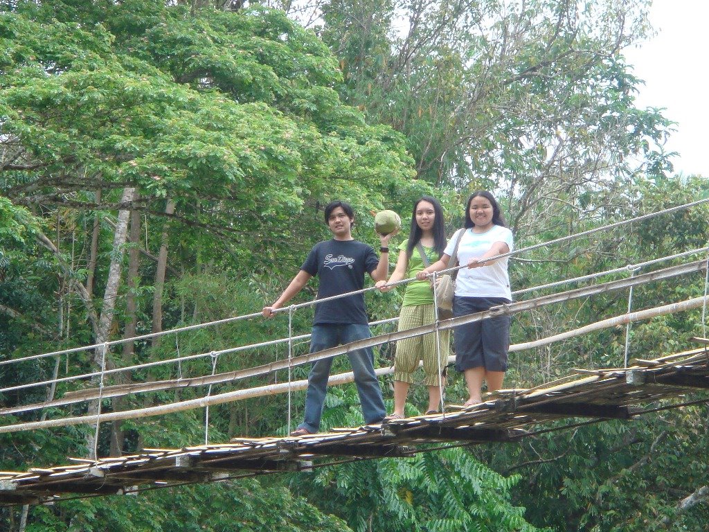 [Bohol_March_2008+324+bridge.jpg]