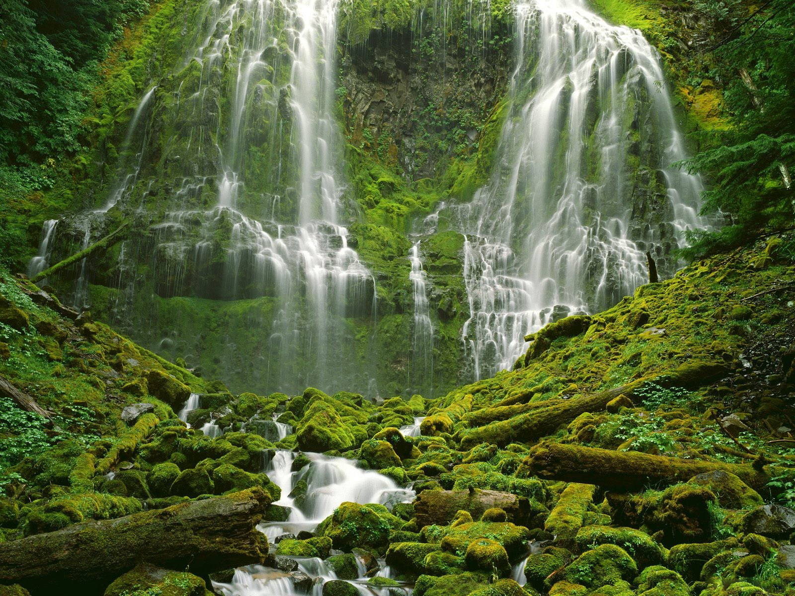 http://4.bp.blogspot.com/_aIrU_NInAww/TS8hgs4XgoI/AAAAAAAAAn4/vLFOi6j1CHY/s1600/12.jpg