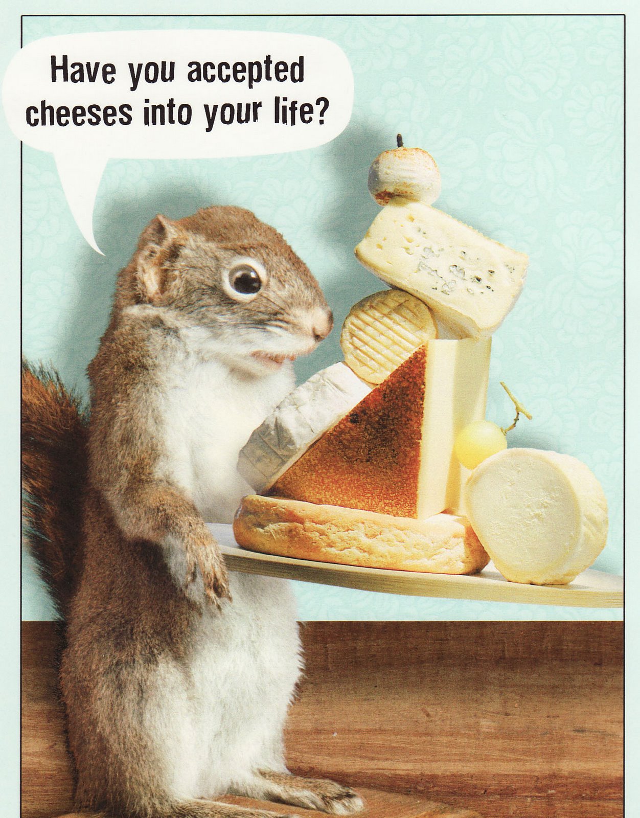 [Cheese+In+Your+Life.jpg]
