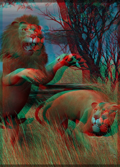 3d 3d