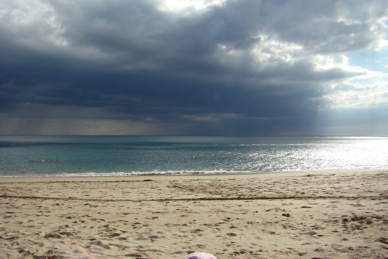 [DSC04445.JPG]