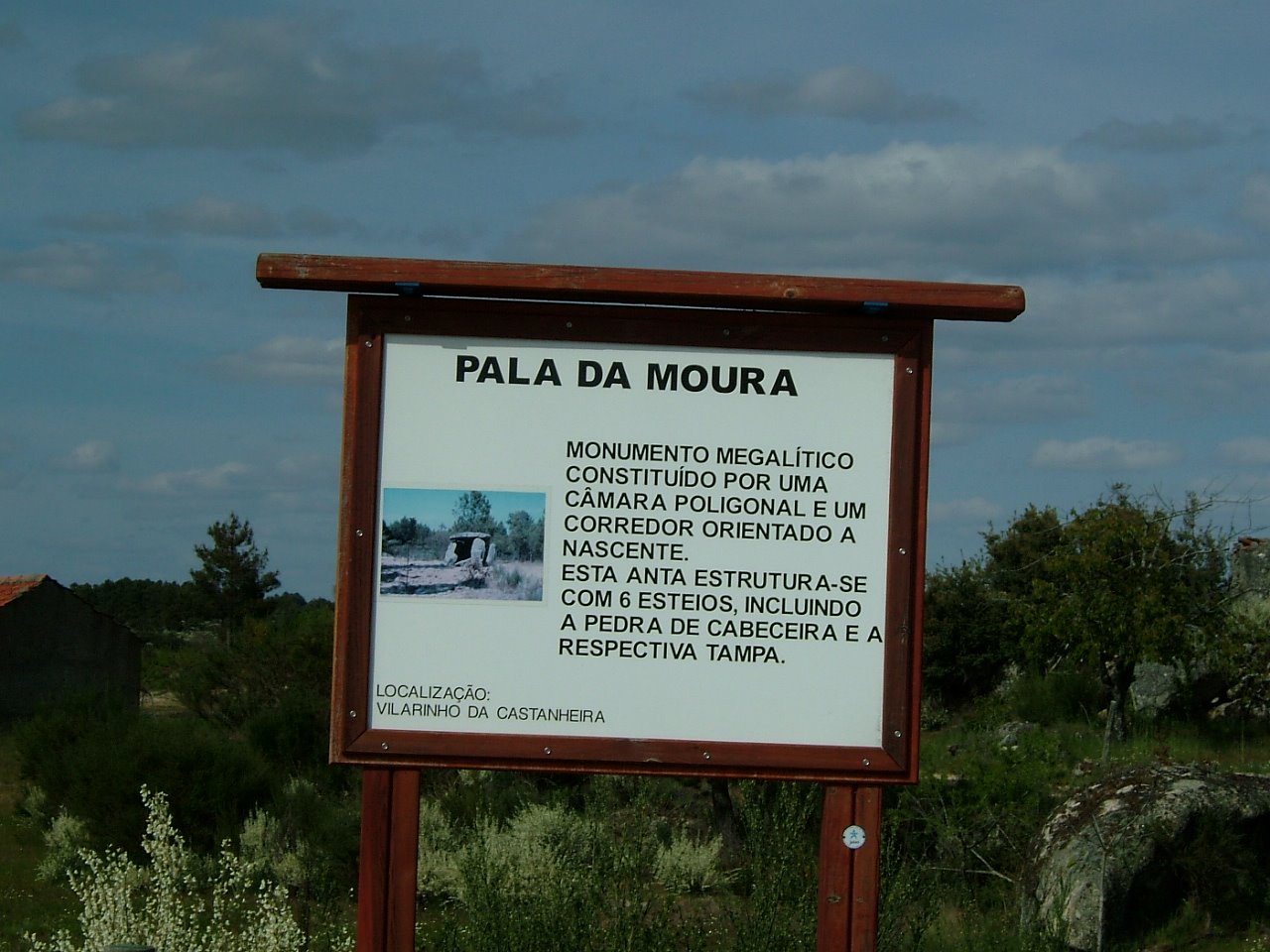 [DSCF0175.JPG]