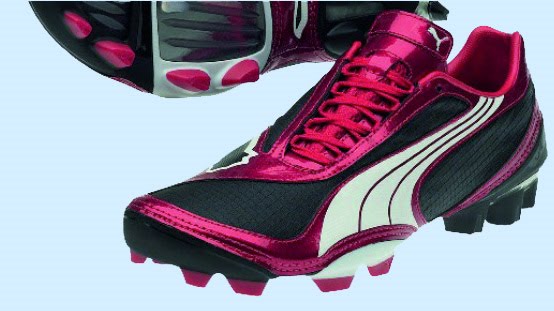 [Puma_v1_08.jpg]
