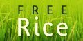 Free Rice