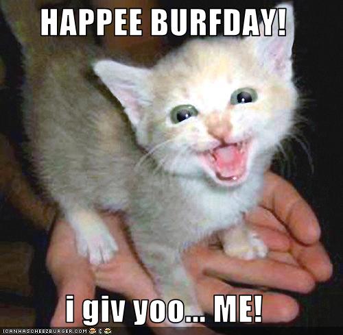 funny happy irthday. funny funny birthday gifts. funny happy irthday. funny
