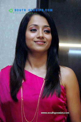 Actress Trisha Pictures with LOUIS VUITTON Hand Bag 