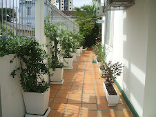 UP CLÍNICAS ASSOCIADAS