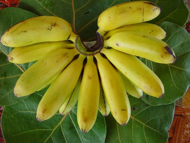 [banane.jpg]