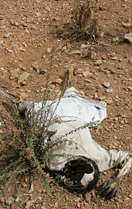 [Darfur_Offer+utanför+byn+Adwa.jpg]