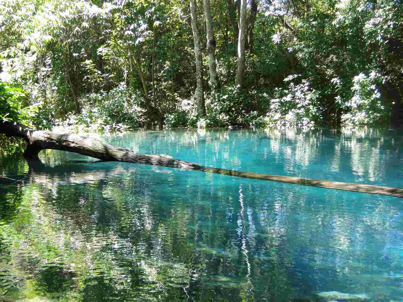 Lagoa Azul Perto De Brasilia