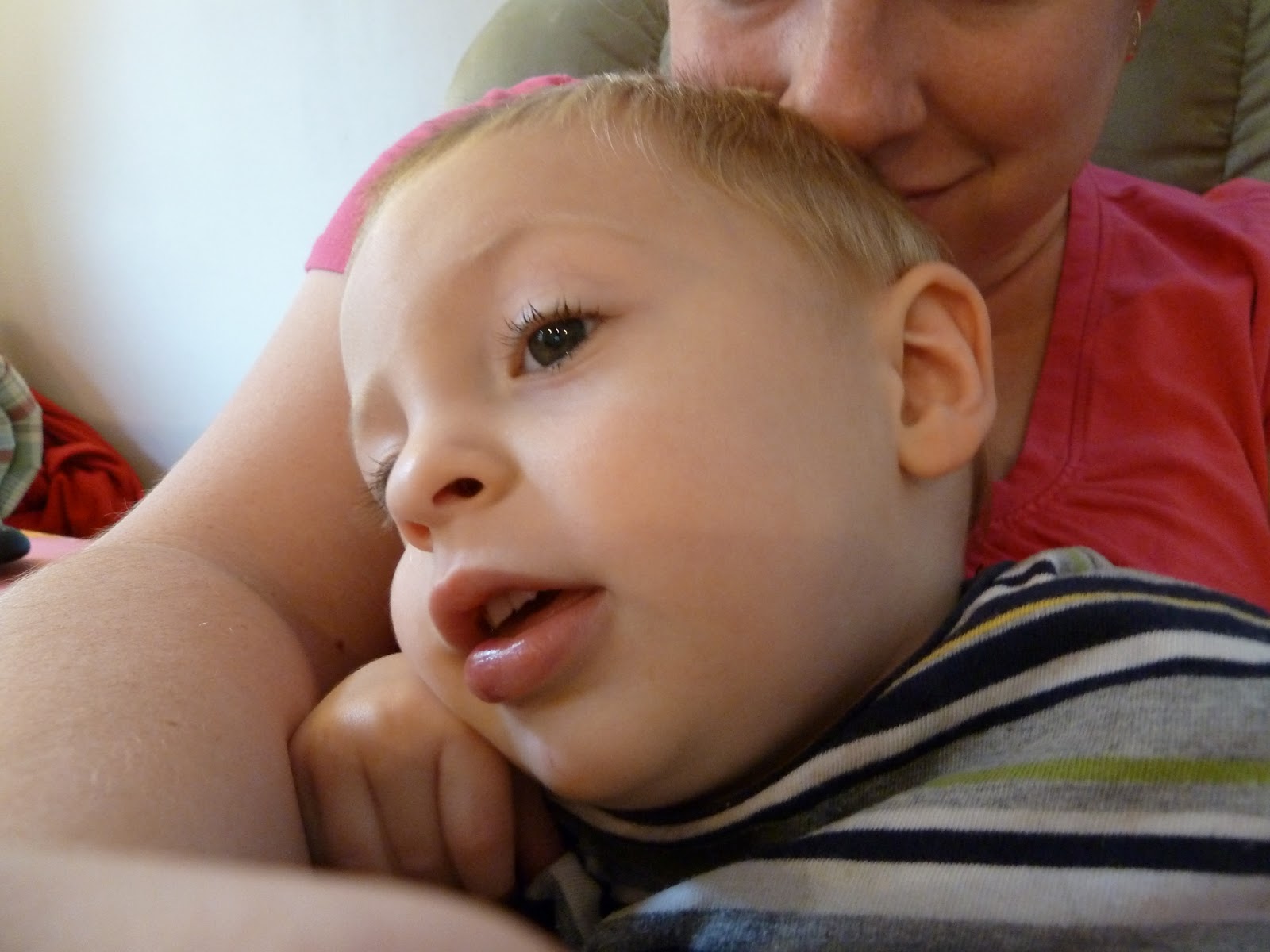 The Vandervort Family Blog Busted Lip. No joke.