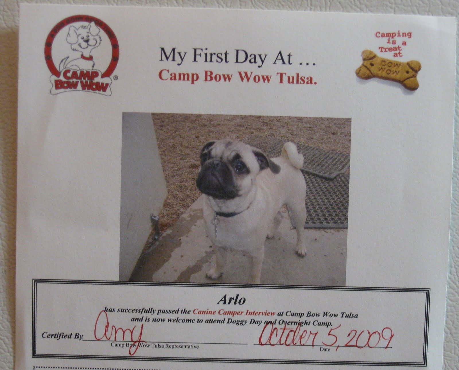 [doggie+day+camp+10-5-09+006.JPG]
