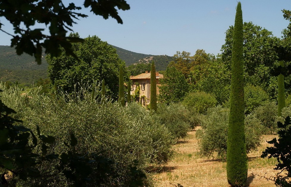 Download e-book A year in provence No Survey