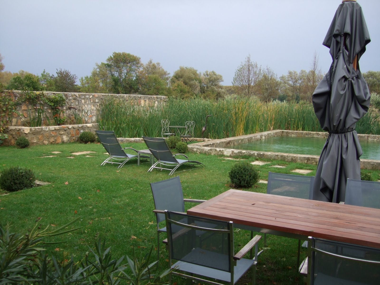 [pool+area.JPG]