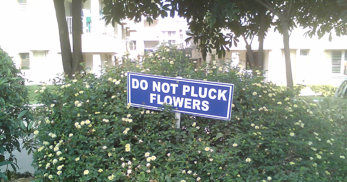 Chandrika Shubham A reserved chitchatter Do not pluck flowers