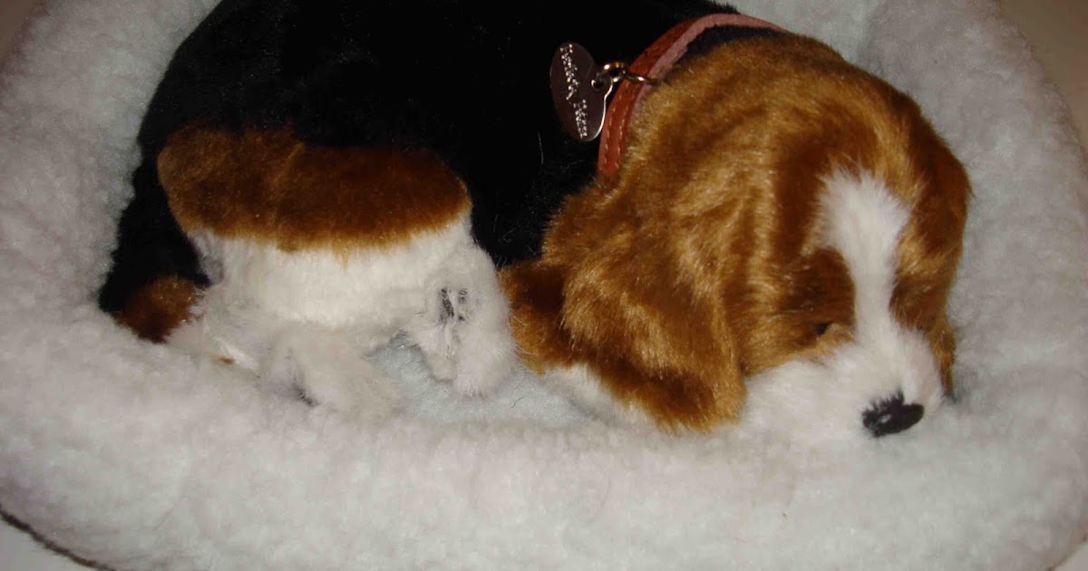 perritos de peluche que respiran