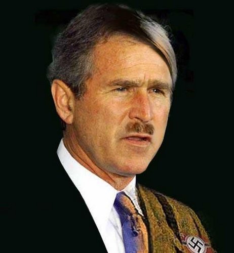 [bush.bmp]