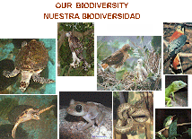 Our  Biodiversity